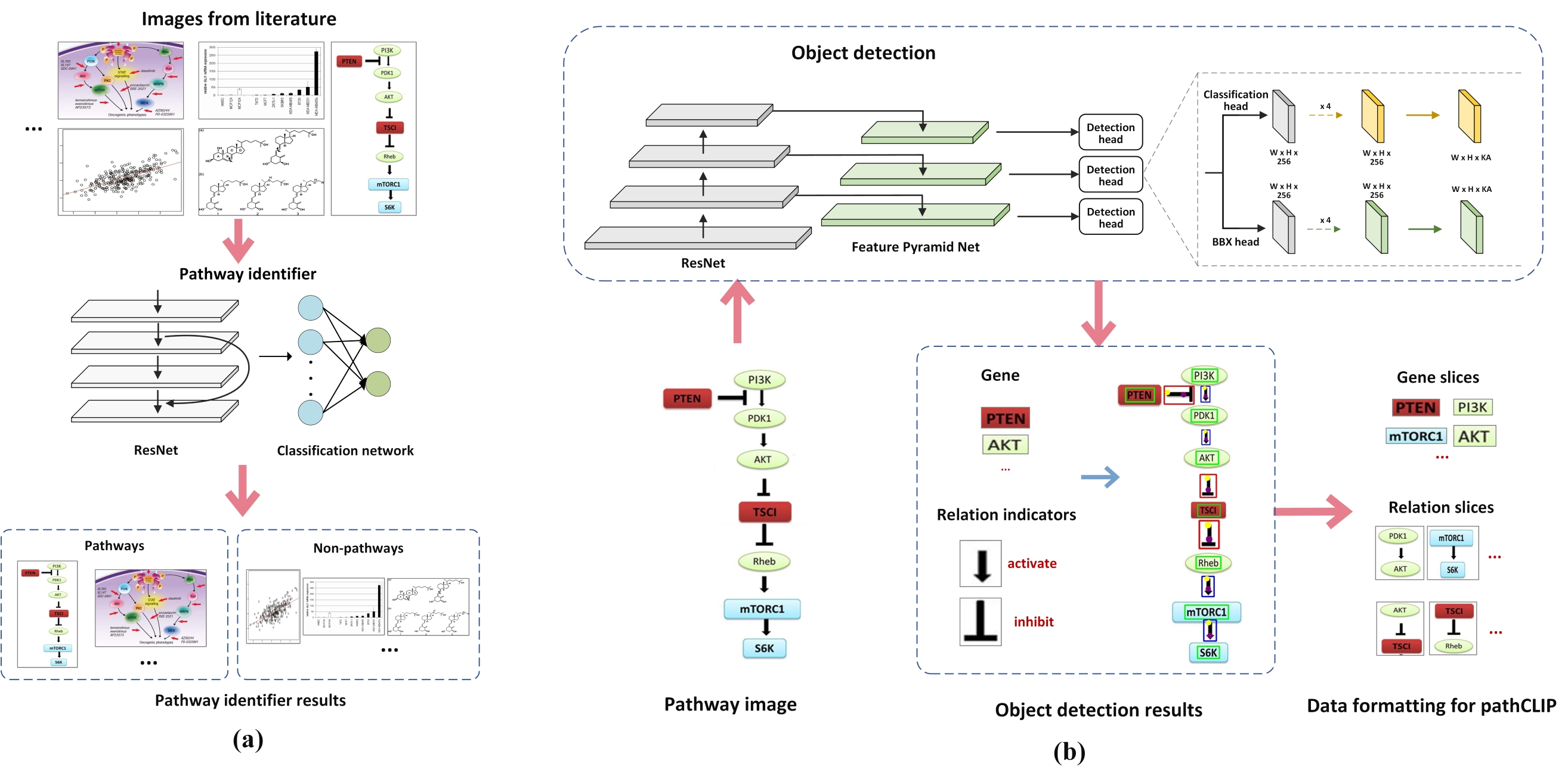 Technical details of pathCLIP. 