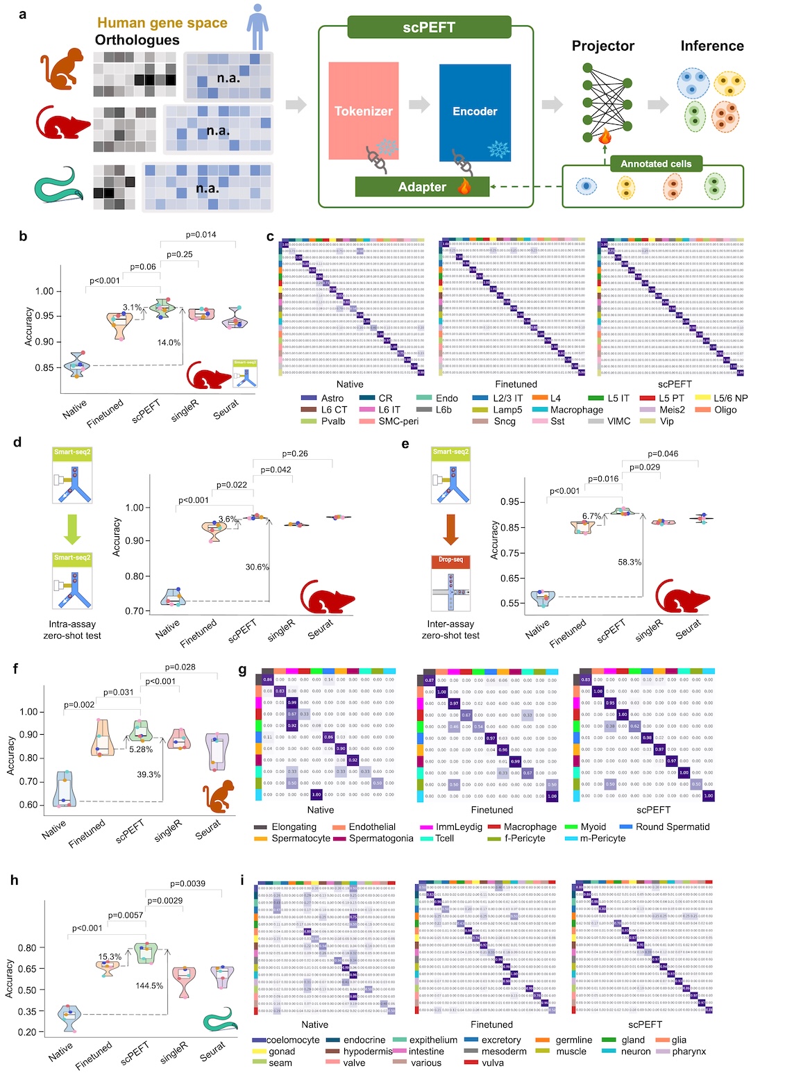 cross-species transfer by scPEFT